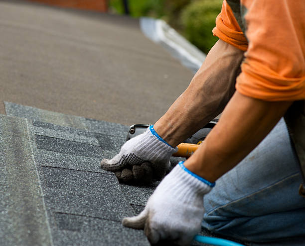 Best Roof Gutter Cleaning  in Cut Off, LA